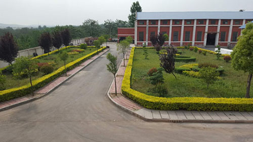 EPS線條產(chǎn)品是什么？